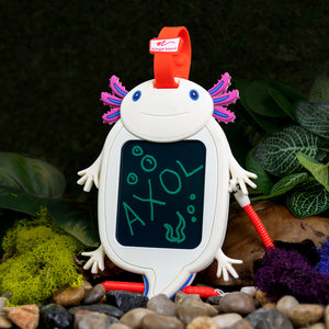 Sketch Pals™ Doodle Board - Axolotl