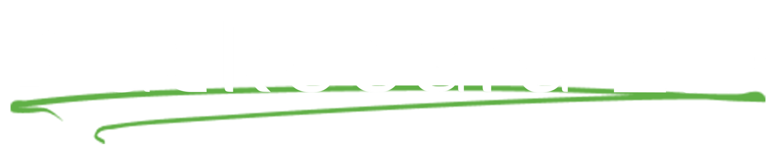 Blackboard 2.0 Logo with green swoosh