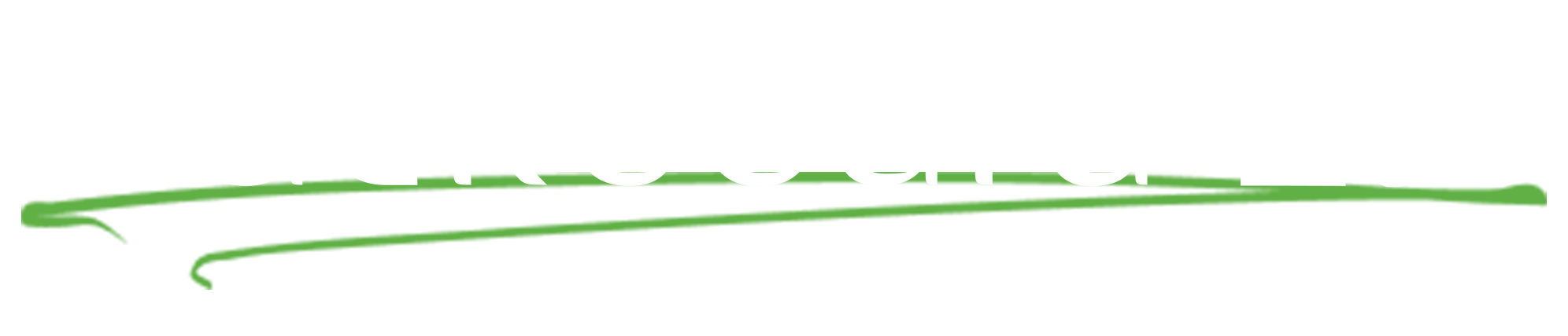 Blackboard 2.0 Logo with green swoosh
